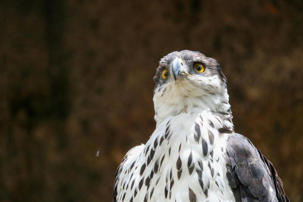 Finishing the Year&nbsp;Strong