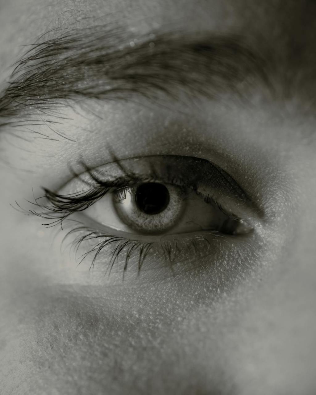 Fix Your Eyes on&nbsp;Jesus